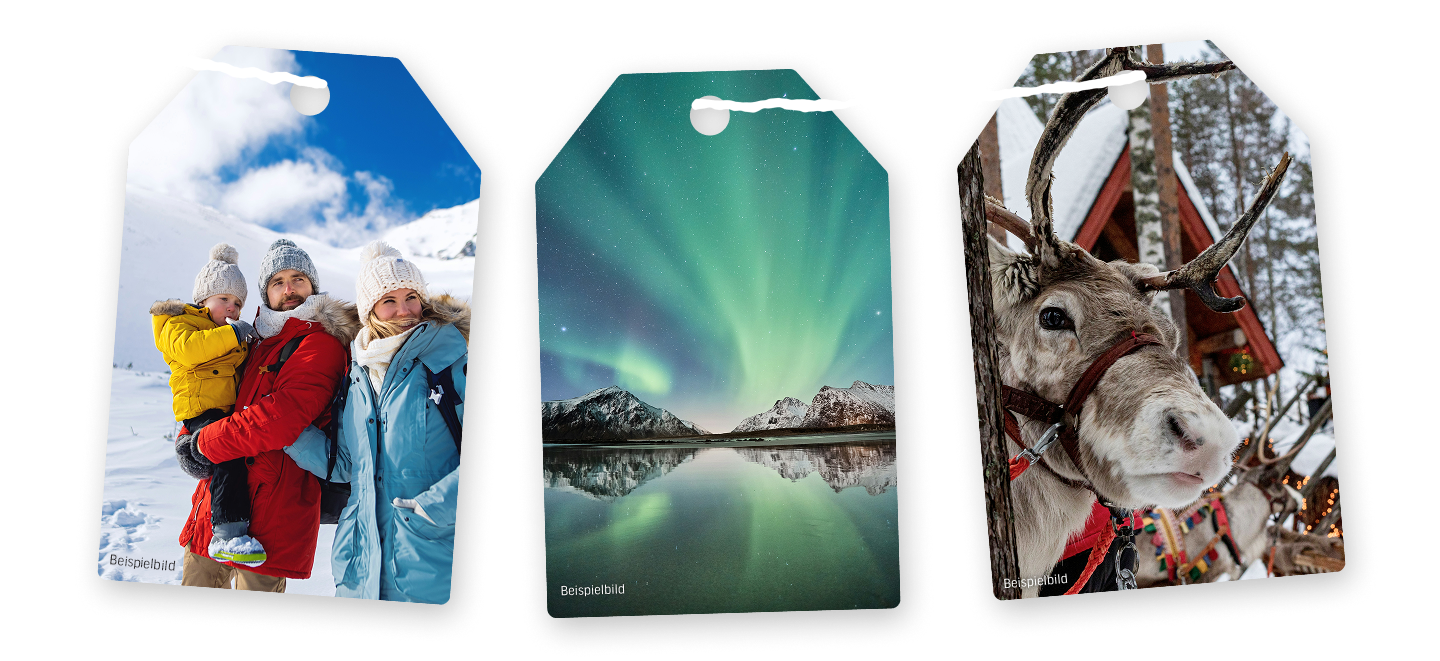 Stimmungsbilder Winter mit Winterlandschaft, Nordlichtern und Rentier